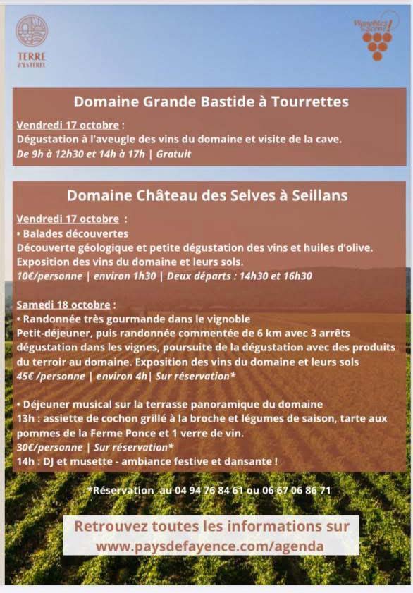 IMG 20251015 WA0218CDS1